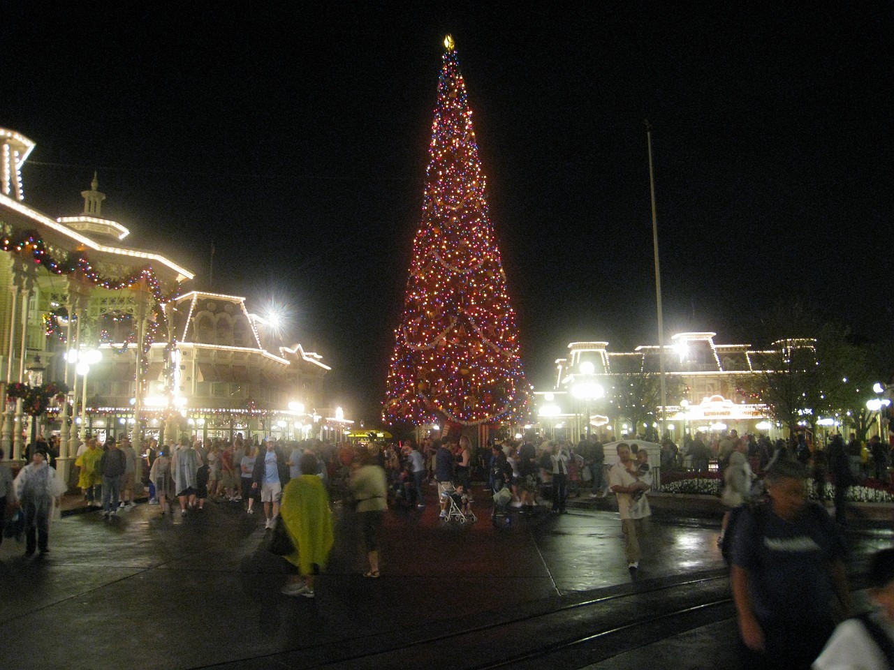 Vacation 2007-12 - Disney Parks  0931.jpg - The 2007-08 vacation to Florida included Disney World. We visited some of the larger theme Resorts along with Animal Kingdom and Disney Hollywood Studios.